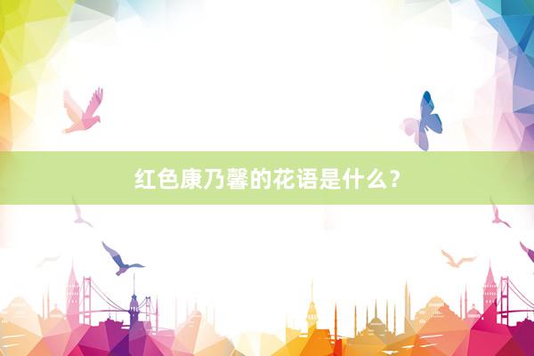红色康乃馨的花语是什么？