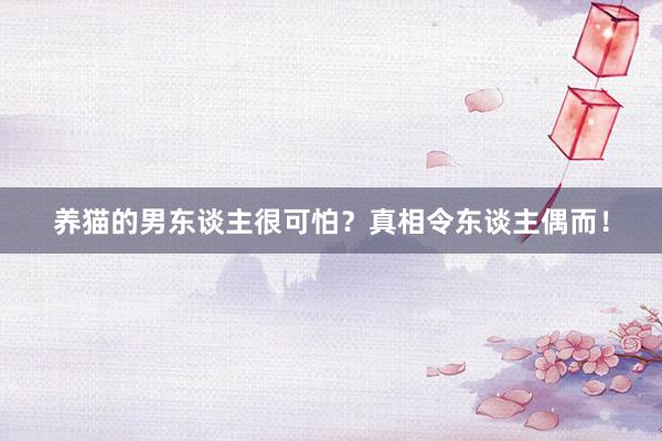 养猫的男东谈主很可怕？真相令东谈主偶而！