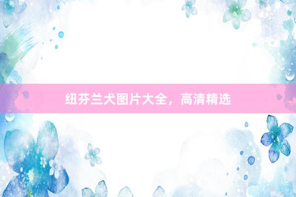 纽芬兰犬图片大全,高清精选